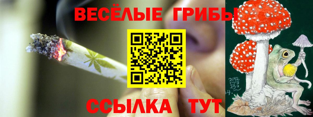 Галлюциногенные грибы ЛСД  Галлюциногенные грибы GOLDEN TEACHER  Вход с VPN  Черкесск 