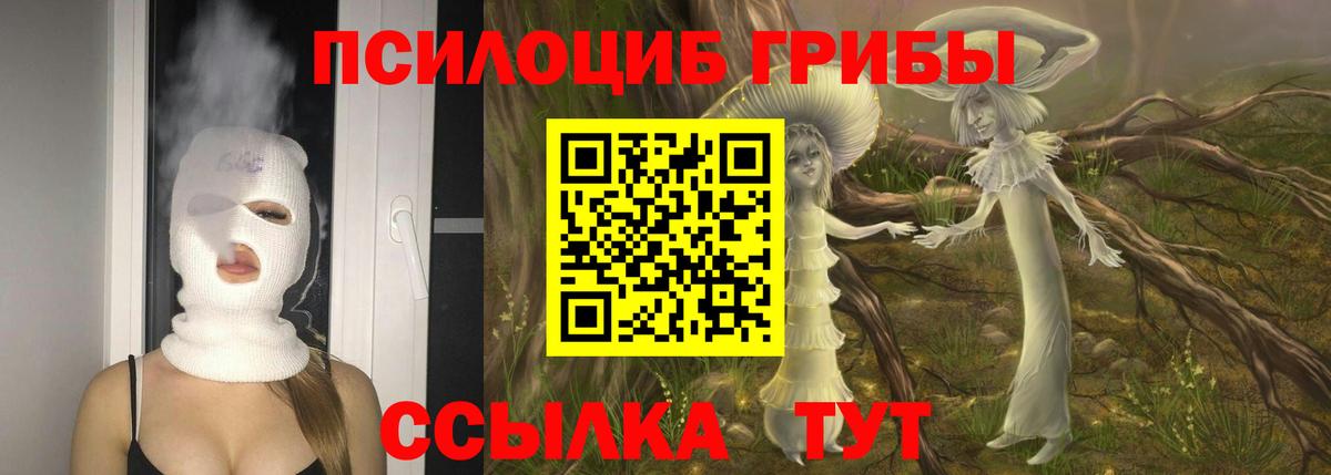 Галлюциногенные грибы MAGIC MUSHROOMS Черкесск